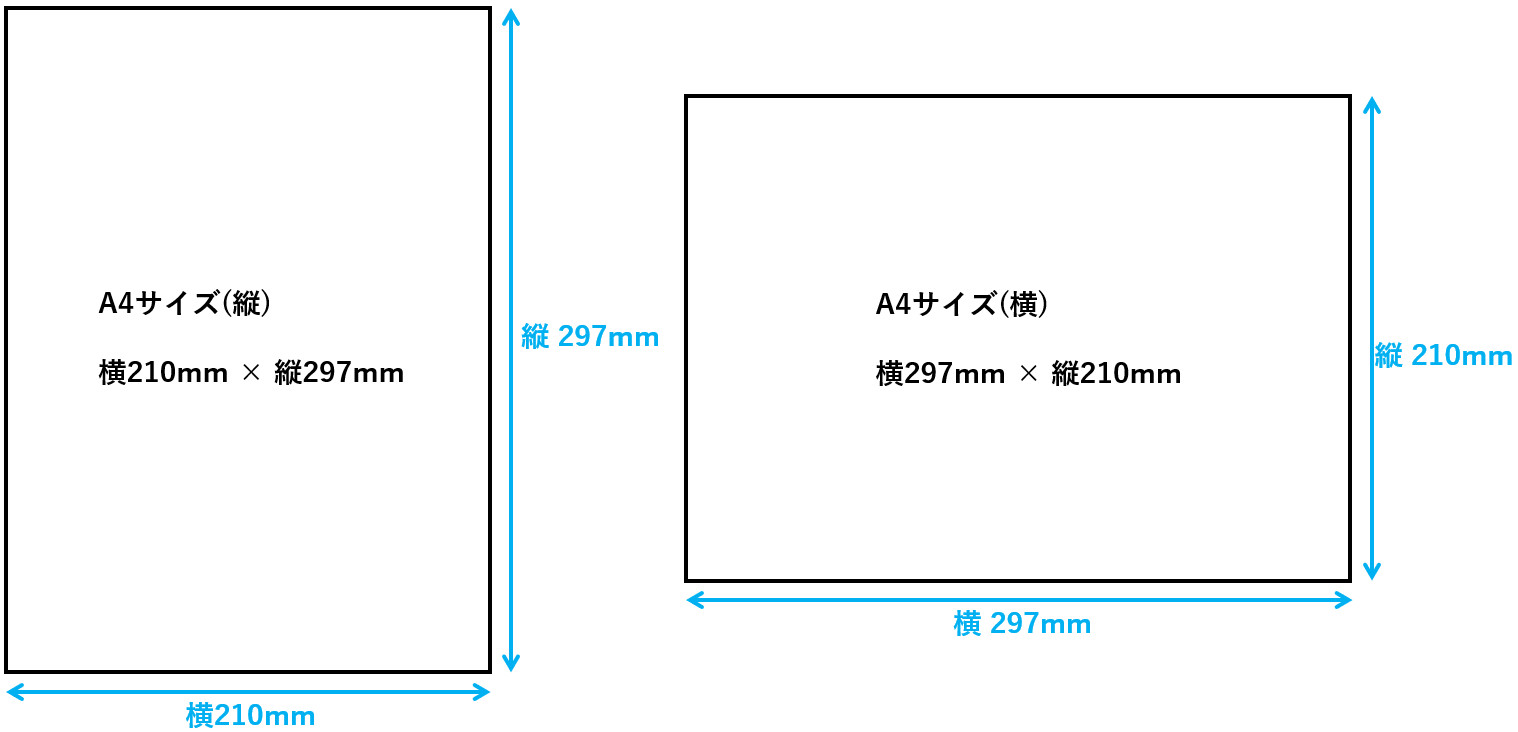 サイズの用紙を原寸大で表示できるパソコンのディスプレイは何インチ Pre もう一つの理学への道